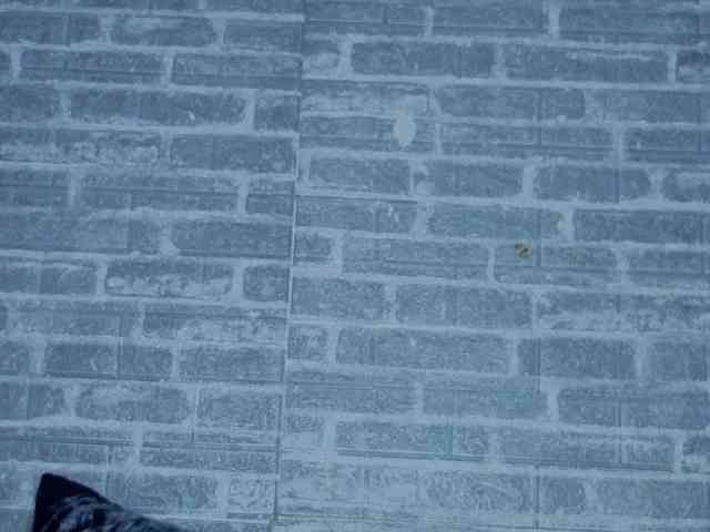 LunaCurlly Live Webcam on BongaCams