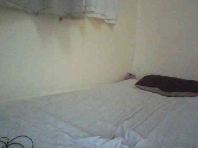 sexxietatiana webcam