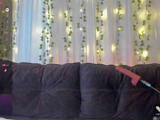 Cactus-Lover webcam