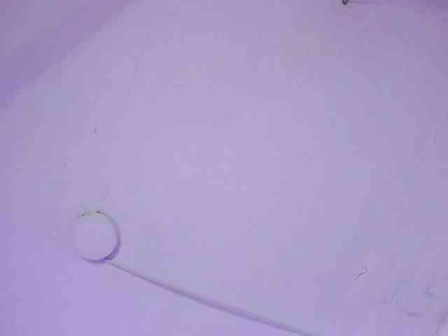 AndreaPink webcam