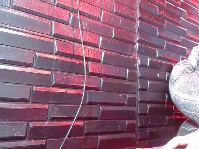 Arabella-Fraser18 webcam