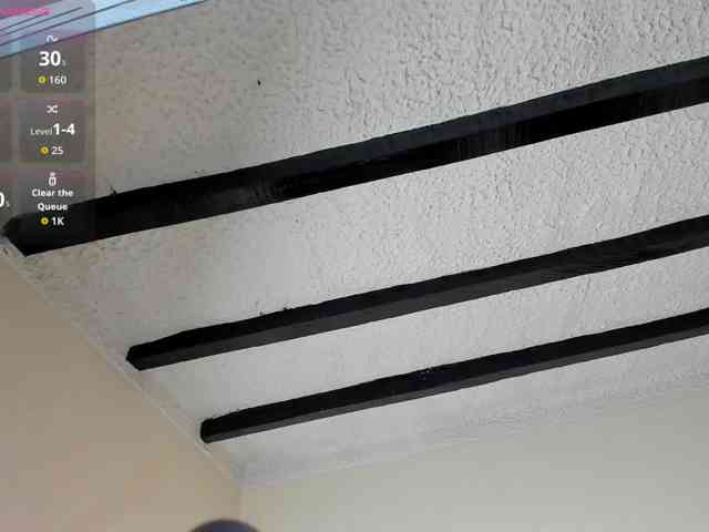 poyson-ivy webcam