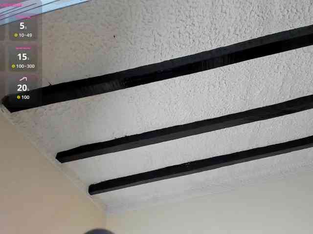 poyson-ivy webcam