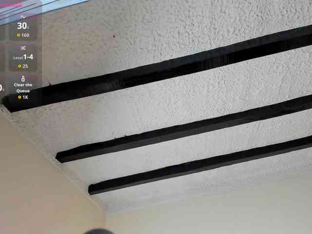 poyson-ivy webcam
