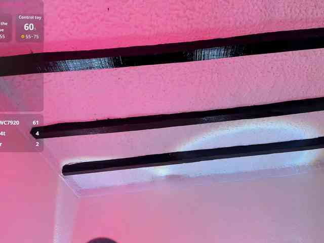 poyson-ivy Live Webcam on BongaCams