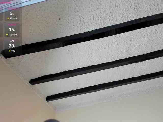 poyson-ivy webcam