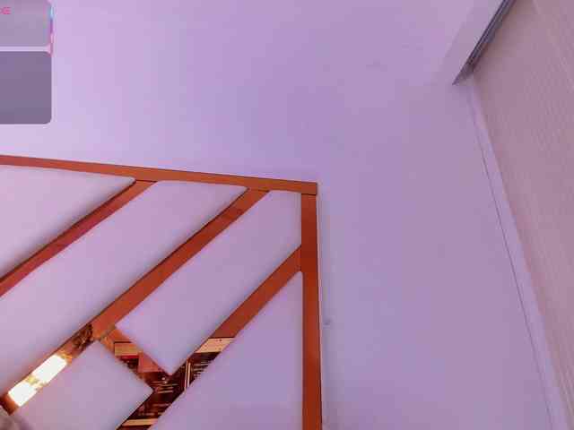 Niicolle-Evanss webcam