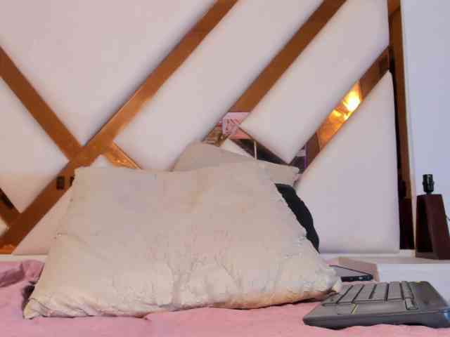 Niicolle-Evanss webcam