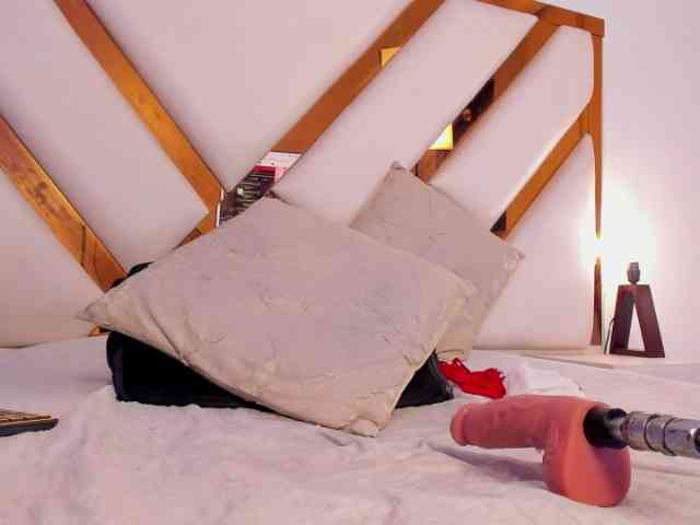 Niicolle-Evanss webcam