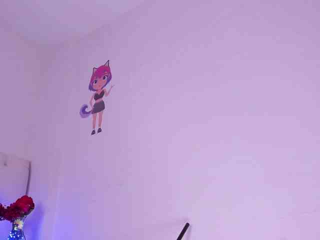 Niicolle-Evanss webcam