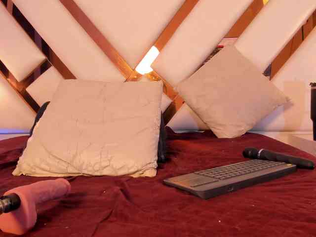 Niicolle-Evanss webcam