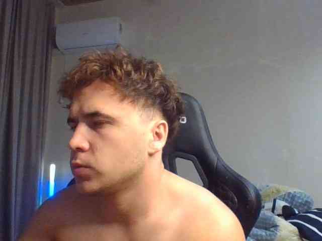 Denis-205 Denis-205