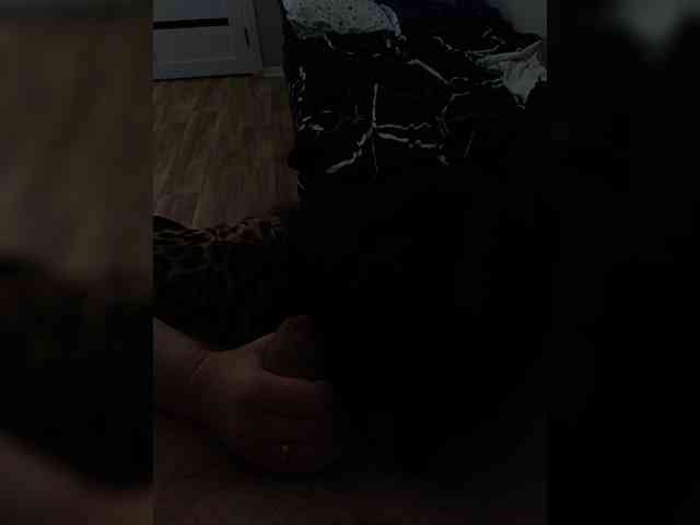 AdamandEva2 webcam