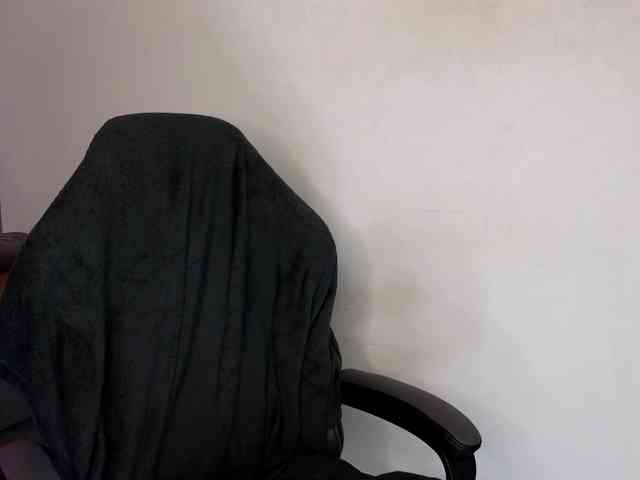 PepeShneine-fa webcam