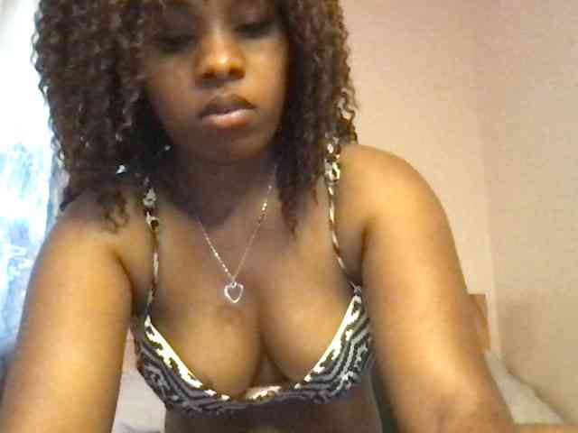 WildFlowerRose webcam