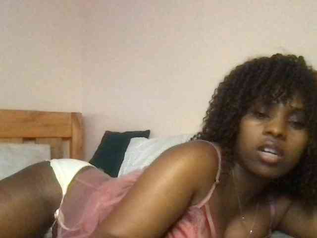 WildFlowerRose webcam