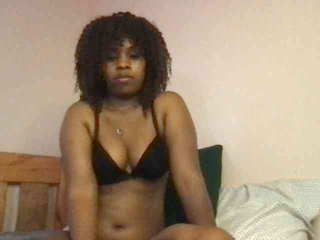 WildFlowerRose webcam