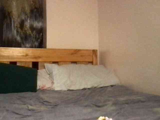 WildFlowerRose webcam