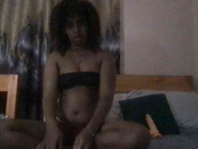 WildFlowerRose webcam