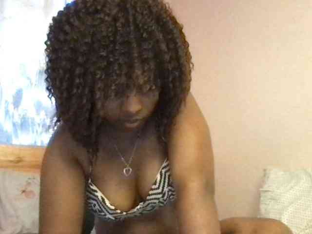 WildFlowerRose webcam