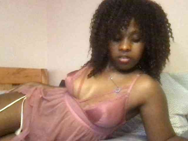 WildFlowerRose webcam