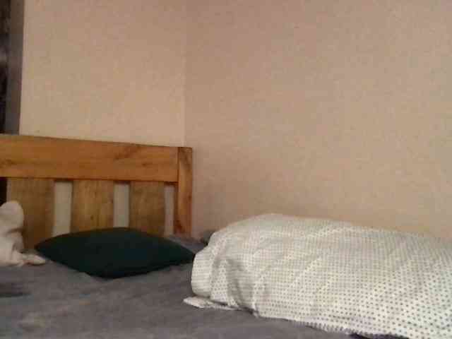 WildFlowerRose webcam