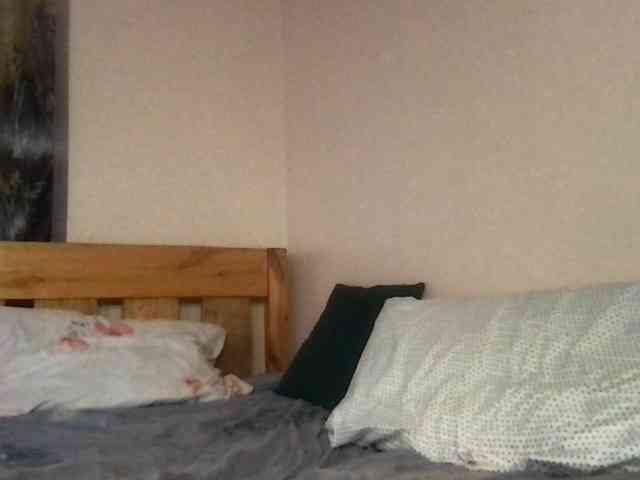 WildFlowerRose webcam