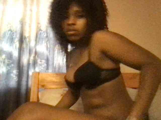 WildFlowerRose webcam