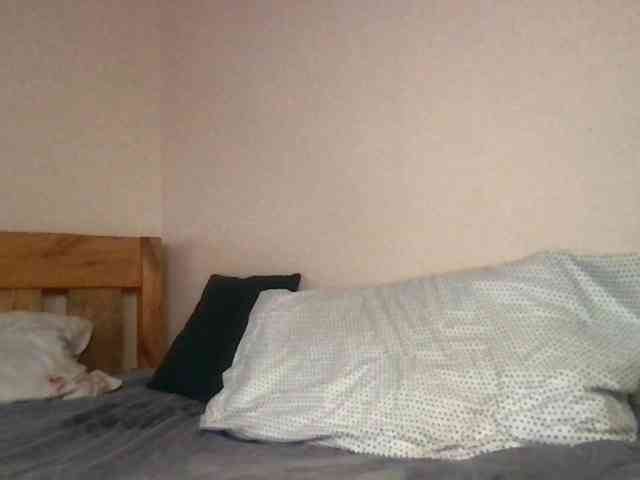 WildFlowerRose webcam