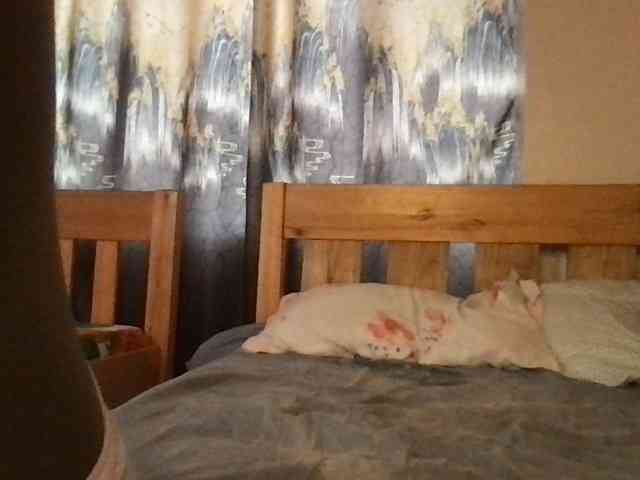 WildFlowerRose webcam