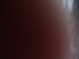 AvaCurvy Porn Show