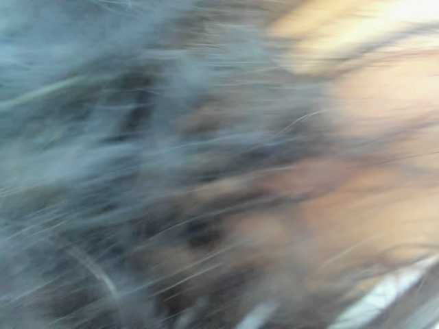 Ava-ryd live cam on BongaCams