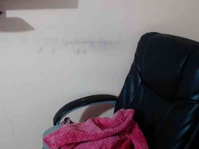 AvaCurvy webcam