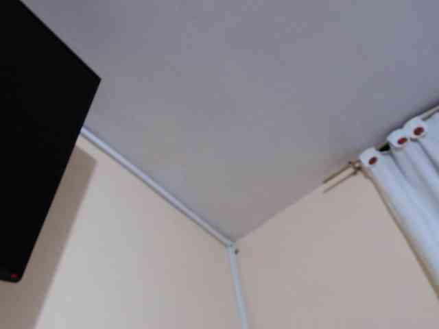 AvaCurvy webcam