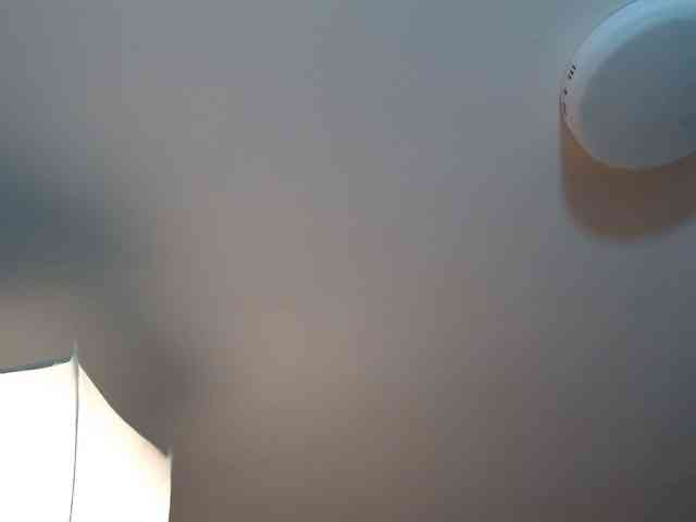 AvaCurvy webcam