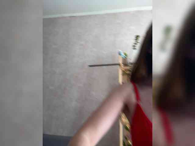 Viklive webcam