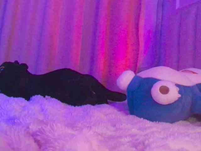ariyastar1 webcam