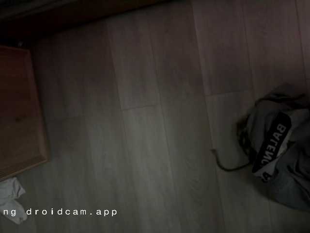 lollimpamp