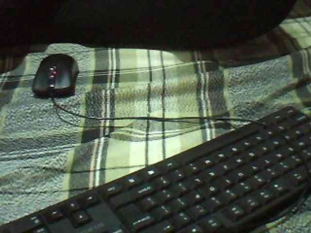 MyDDBOOBIES webcam