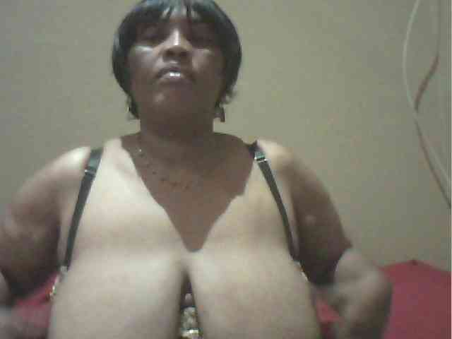 MyDDBOOBIES