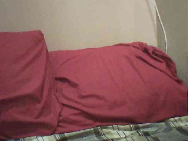 MyDDBOOBIES webcam