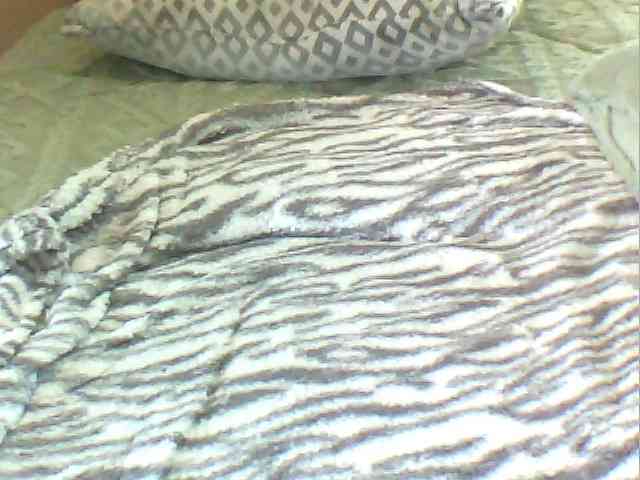 MyDDBOOBIES webcam