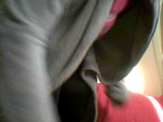 MyDDBOOBIES webcam