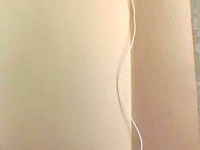 MyDDBOOBIES webcam