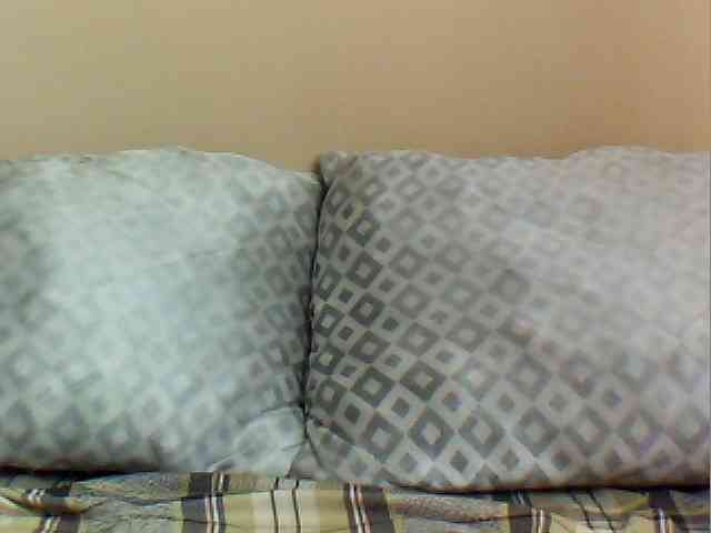MyDDBOOBIES webcam