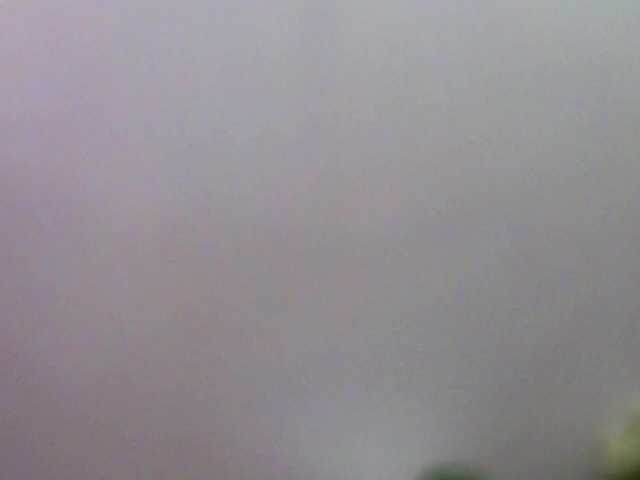 LauraDelight's BongaCams show and profile