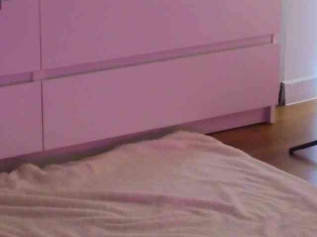 LauraDelight