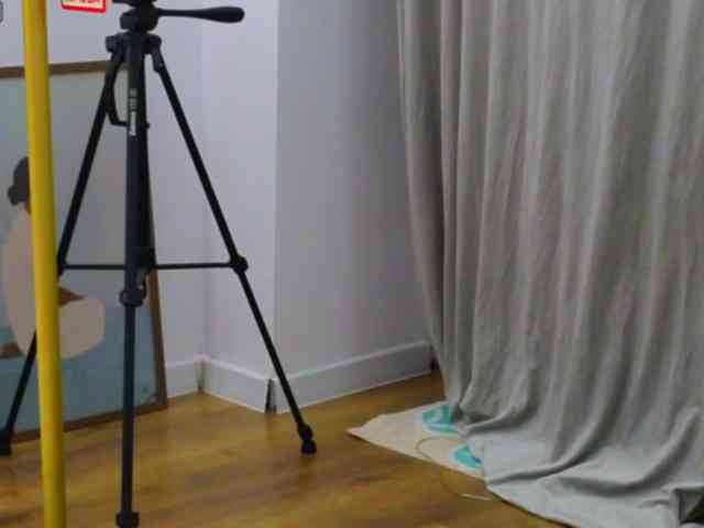LauraDelight webcam