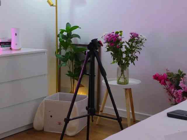 LauraDelight webcam