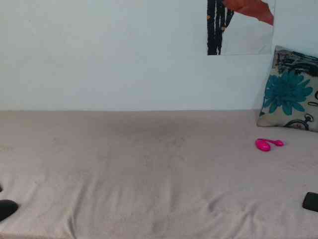 VelvetTits webcam